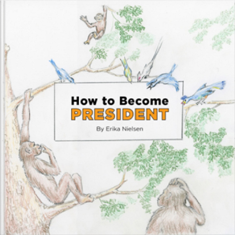 How to become president